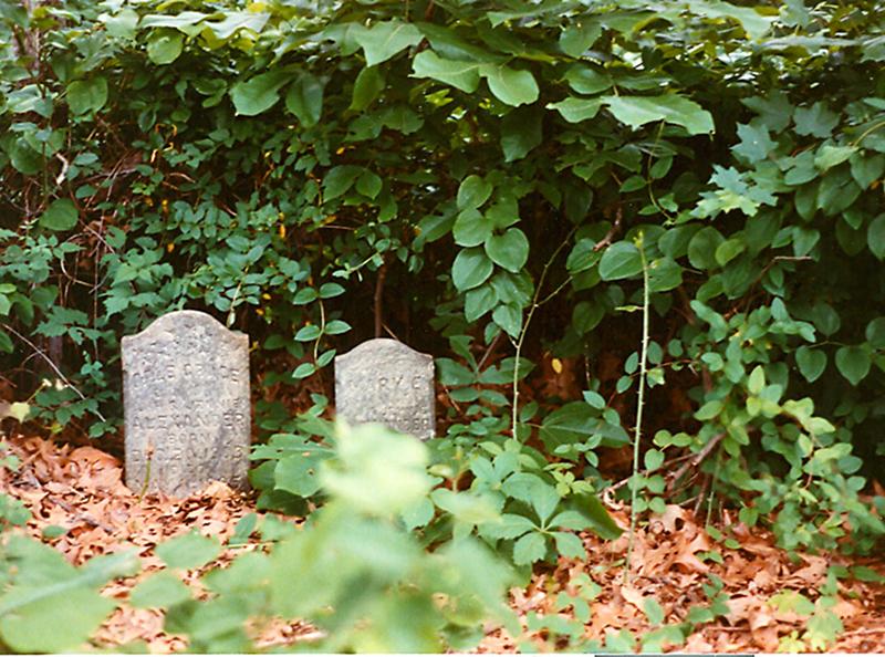 Slide 2 of cemetery gallery